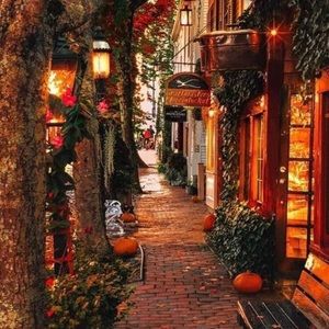 Meet your Posher, Dana